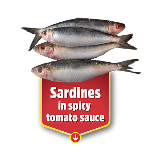 Sardina